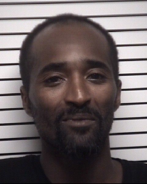 James Dwight Hamilton Jr.
